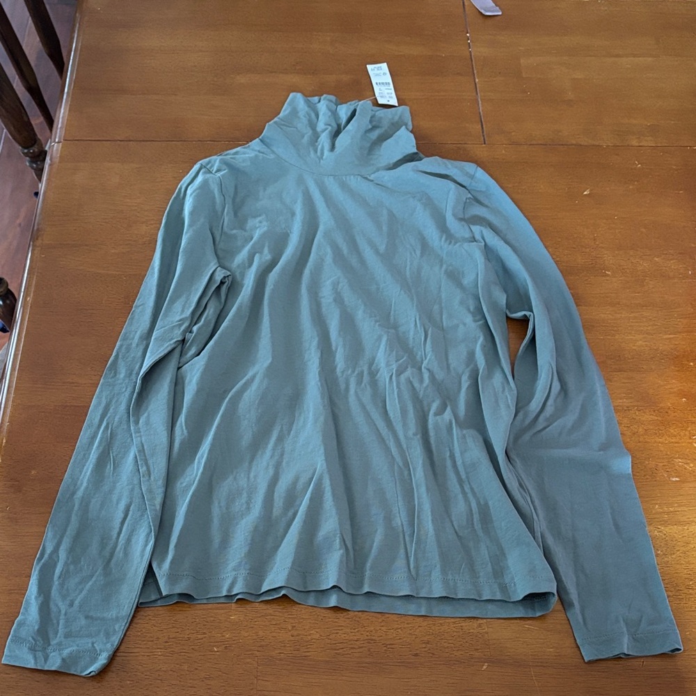 J. Crew Teal Long Sleeve Turtleneck Top